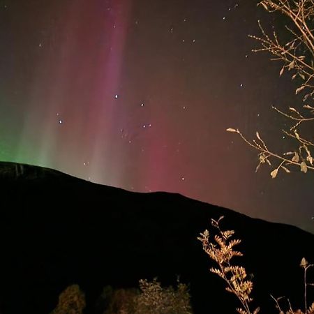 Pilan Lodge Lofoten Vestpollen Ngoại thất bức ảnh