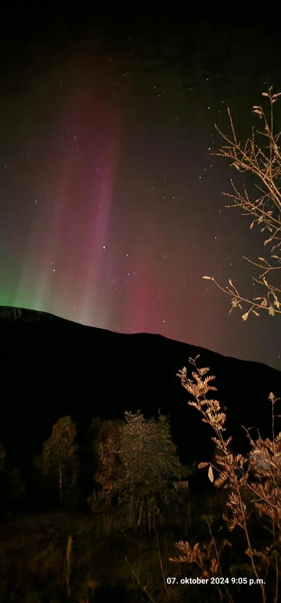 Pilan Lodge Lofoten Vestpollen Ngoại thất bức ảnh