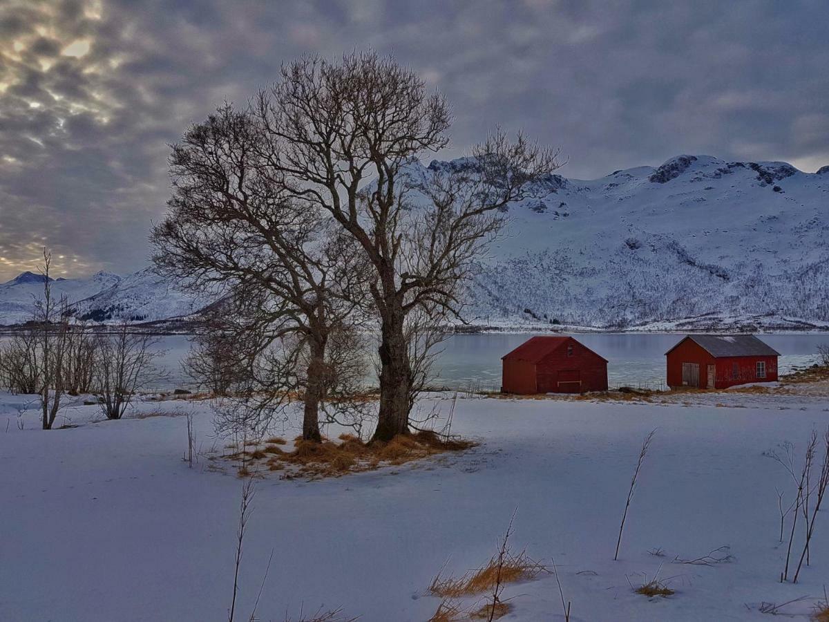 Pilan Lodge Lofoten Vestpollen Ngoại thất bức ảnh