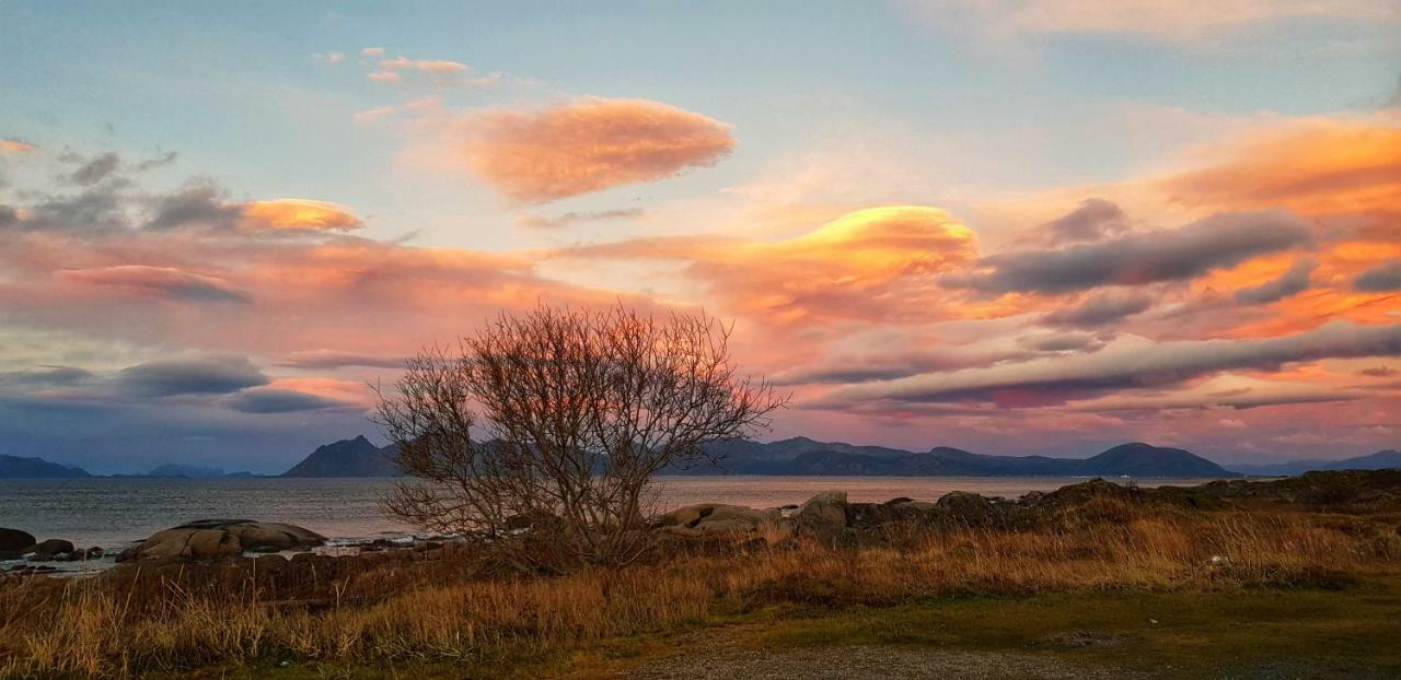 Pilan Lodge Lofoten Vestpollen Ngoại thất bức ảnh