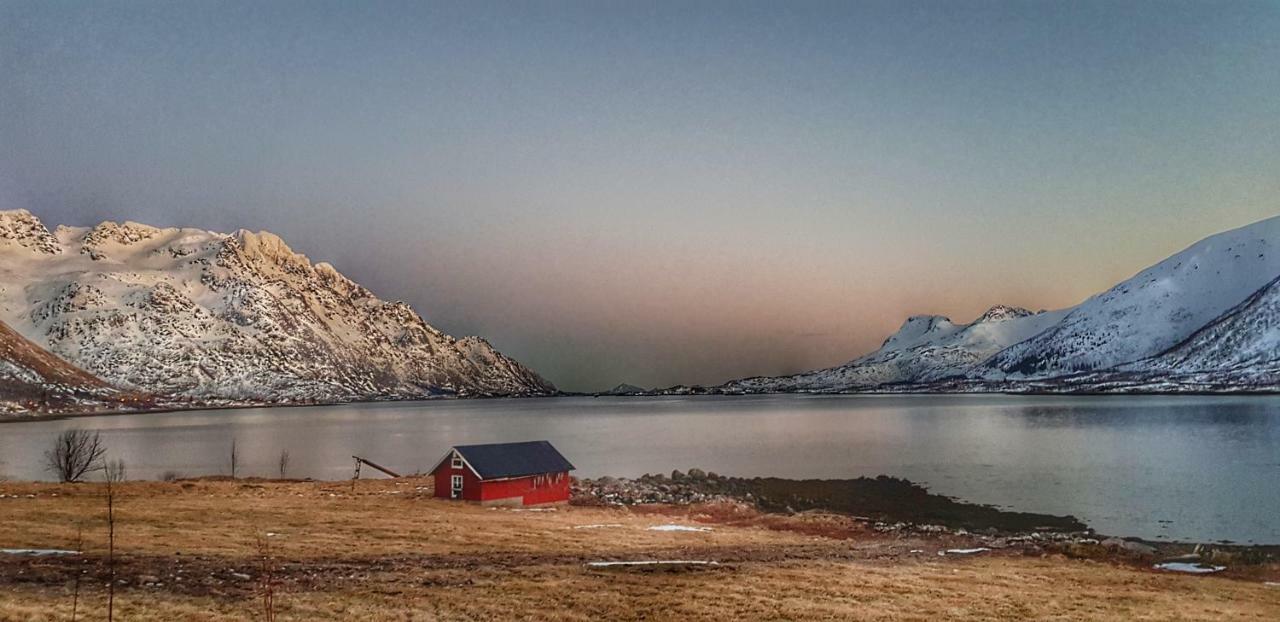 Pilan Lodge Lofoten Vestpollen Ngoại thất bức ảnh